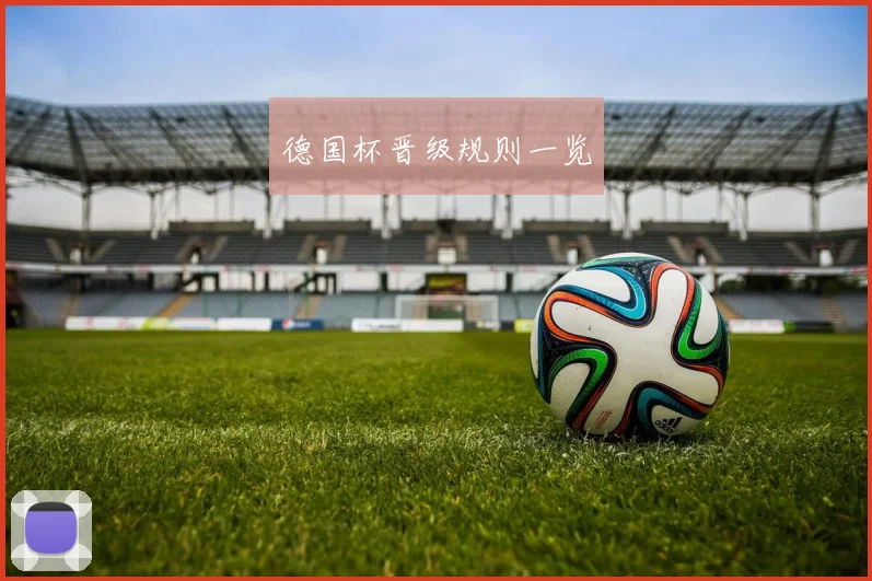 德国杯晋级规则一览