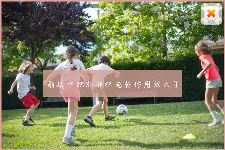雨战中把非洲杯老将作用放大了