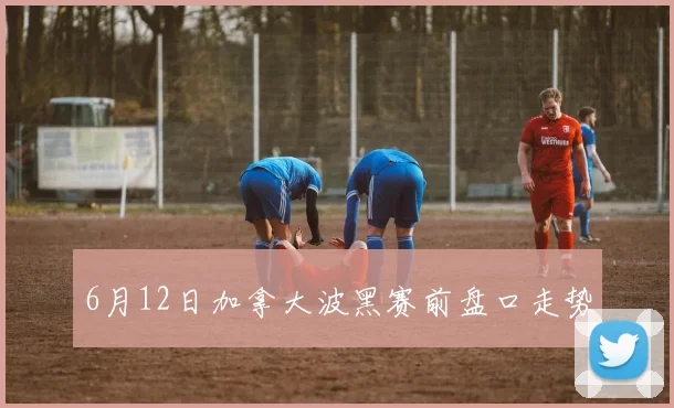 6月12日加拿大波黑赛前盘口走势