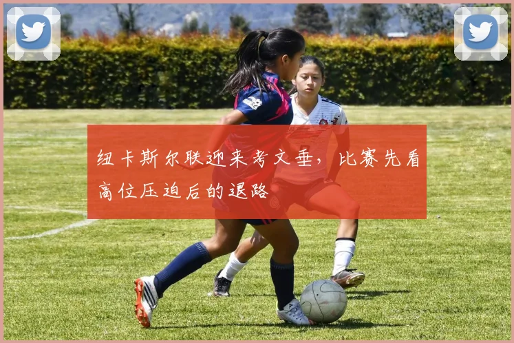 纽卡斯尔联迎来考文垂,比赛先看高位压迫后的退路