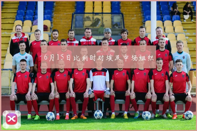 6月15日比利时对埃及中场组织