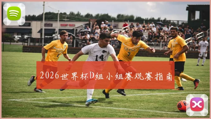 2026世界杯D组小组赛观赛指南